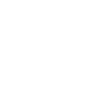 Home owner icon